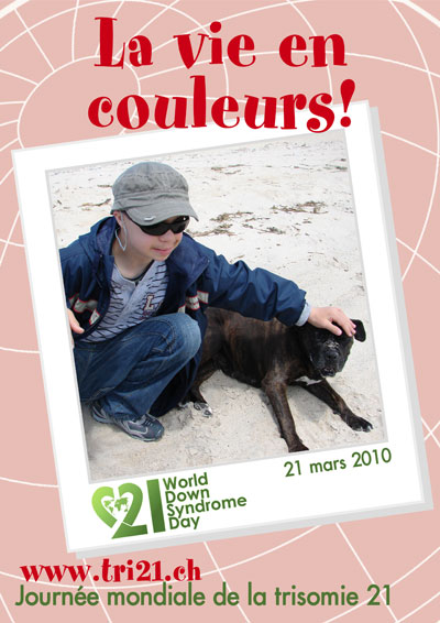 Affiches 10 'La vie en couleurs'