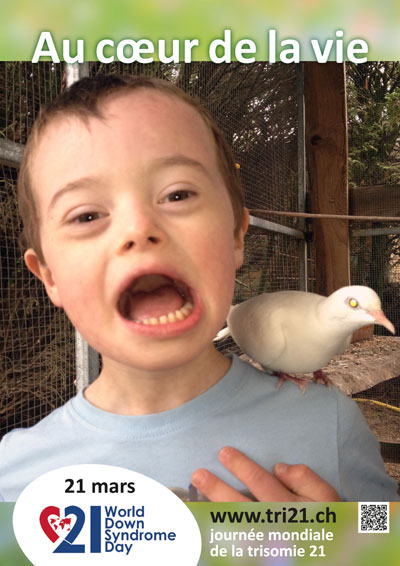 Affiches 14 'Au cœur de la vie'