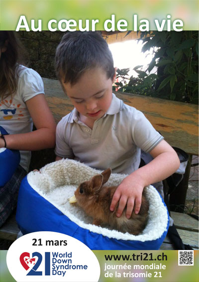 Affiches 14 'Au cœur de la vie'