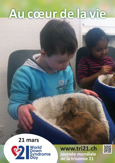 Affiches 14 'Au cœur de la vie'