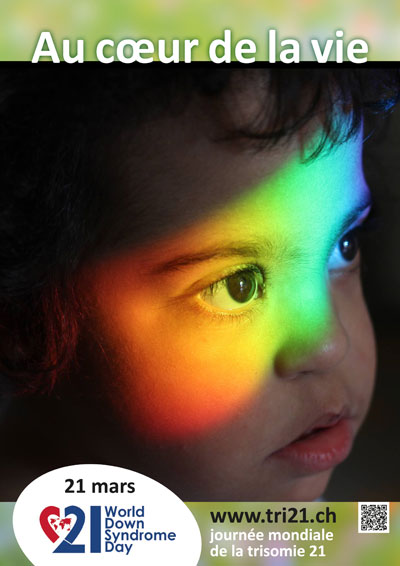 Affiches 14 'Au cœur de la vie'