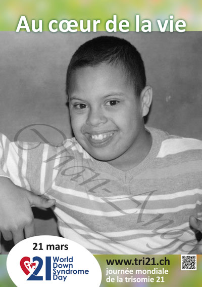 Affiches 14 'Au cœur de la vie'