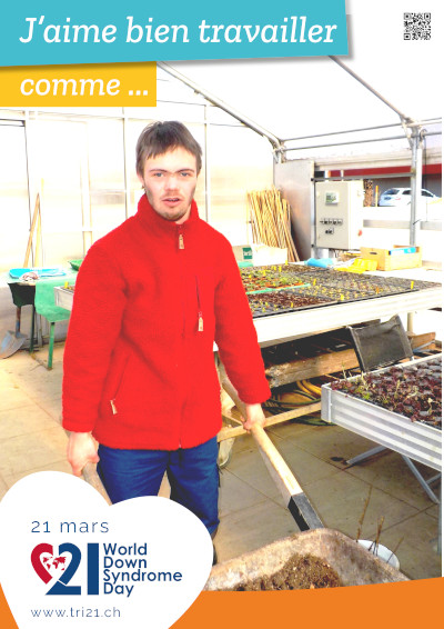 Affiches 22 'Quand je serai grand, je serai... / J'aime bien travailler comme...'